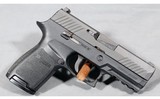 Sig Sauer ~ P320 ~ 9mm Luger