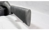 Magnum Research ~ MLR-1722M ~ .22 Magnum - 10 of 11
