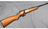 Marlin ~ 15YN ~ 22 Long Rifle - 1 of 4