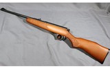 Marlin ~ 15YN ~ 22 Long Rifle - 2 of 4