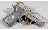 Sig Sauer ~ P229 ~ 9mm Luger