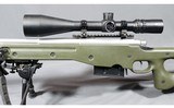Remington ~ 700 ~ .300 Win mag - 7 of 10