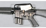 Bushmaster ~ CAR-AR ~ .223/5.56 ~ "Vietnam War Commemorative M16" - 7 of 13