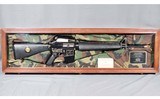 Bushmaster ~ CAR-AR ~ .223/5.56 ~ "Vietnam War Commemorative M16" - 11 of 13