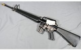 Bushmaster ~ CAR-AR ~ .223/5.56 ~ "Vietnam War Commemorative M16" - 2 of 13