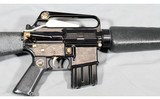 Bushmaster ~ CAR-AR ~ .223/5.56 ~ "Vietnam War Commemorative M16" - 4 of 13