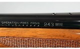 Remington ~ Model Seven ~ .243 Winchester - 10 of 10