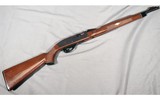 Remington ~ 66 ~ .22 lr