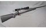 Savage arms ~ 110 ~ .243 Winchester