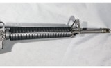 Colt ~ Sporter Target ~ 5.56 NATO - 6 of 6