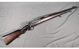 DWM ~ Argentine Mauser model 1909 ~ None