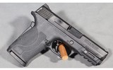 Smith & Wesson ~ Shield EZ ~ 9mm luger