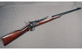 H&R ~ 1873 ~ .45-70 Government