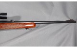 Winchester ~ 88 ~ .308 Winchester - 8 of 16