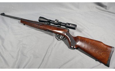 Savage ~ B22 ~ .22 WMR
