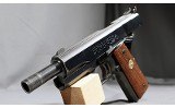 Colt ~ Mk IV Series 70 ~ .45 AUTO - 5 of 5
