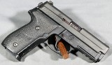 Sig Sauer ~ P229 ~ .40 S&W
