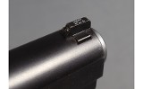 STI~Eagle 5.0~.45 Auto - 6 of 6