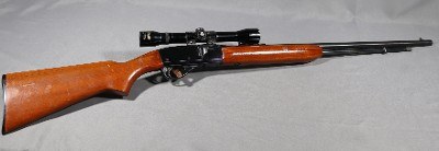 Remington~552 Speedmaster~.22 S, L, LR