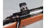 Winchester~Model 70 Featherweight~6mm Remington - 11 of 13
