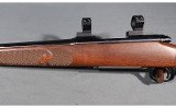 Winchester~Model 70 Featherweight~6mm Remington - 6 of 13