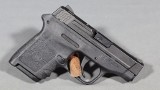 Smith & Wesson~Bodyguard~.380 ACP
