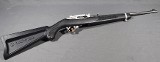 Ruger~10/22 Carbine~.22 Long Rifle