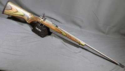 Ruger ~ 77/17 ~ .17 Hornet