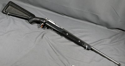 Ruger ~ 77/22 ~ All Weather ~ .22LR