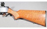 Browning~Bar~.243 Winchester - 6 of 9