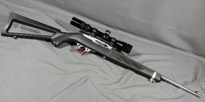 Ruger ~ 10/22 Carbine ~ .22 LR