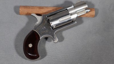 North American Arms~.22 Long Rifle