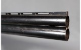 Winchester~Xpert~12 Gauge - 3 of 4