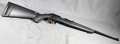 Ruger ~ American ~ .22 LR