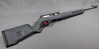 Ruger~10/22~.22 Long Rifle