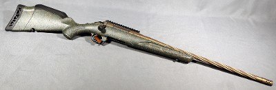 Ruger~American~.308 Winchester