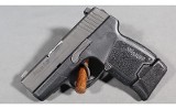 Sig Sauer~P290~9mm Luger - 2 of 5