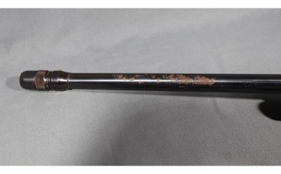 Sears & Roebucks~200~12 Gauge - Image 3 of 7