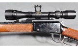 Henry~Lever Action~.17 HMR - 4 of 5