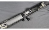 Springfield~2020 Boundary~.300PRC - 6 of 7