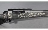 Springfield~2020 Boundary~.300PRC - 5 of 7