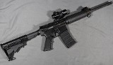 Eagle Arms ~ Eagle-15 ~ .223 Wylde - 1 of 8