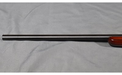Sears ~ Single Shot ~ 20 Gauge - Image 8 of 9
