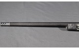 Springfield ~ 2020 Boundary ~ .300 PRC - 8 of 8