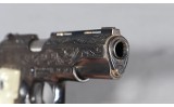 Llama ~ .380 - 3 of 4