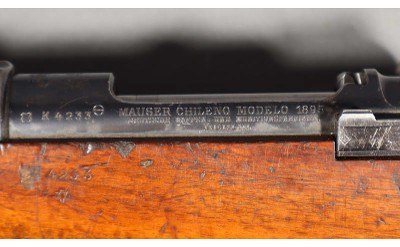 Mauser ~ 1895 ~ No caliber marked - Image 9 of 12