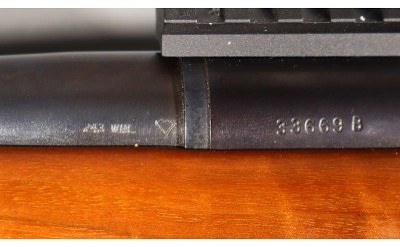 Remington ~ 40-X ~ .243 Win - Image 9 of 9
