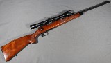 Remington ~ 700 ~ 17 Remington - 1 of 10