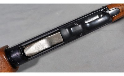 Sears & Roebuck~Ted Williams Model 200~12 Gauge - Image 8 of 8