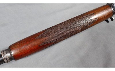 Browning~Automatic~12 Gauge - Image 12 of 14